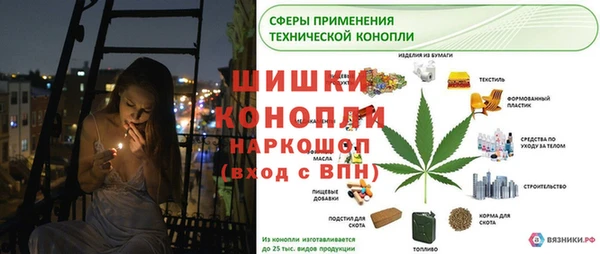 МДПВ Бородино