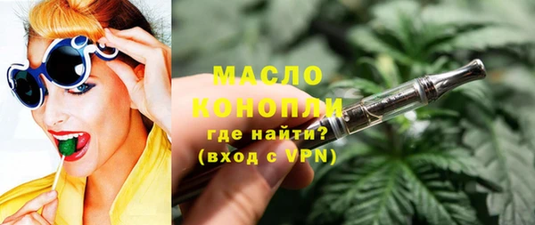 МДПВ Бородино