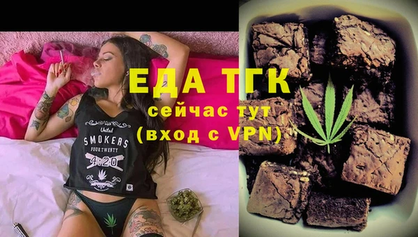 МДПВ Бородино