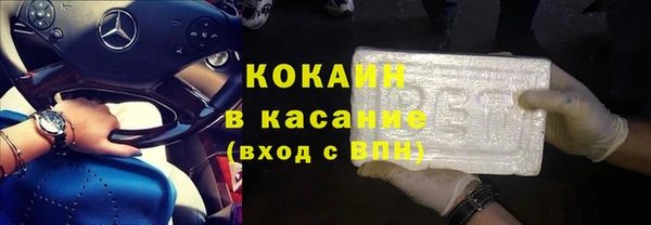 МДПВ Бородино