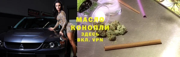 МДПВ Бородино