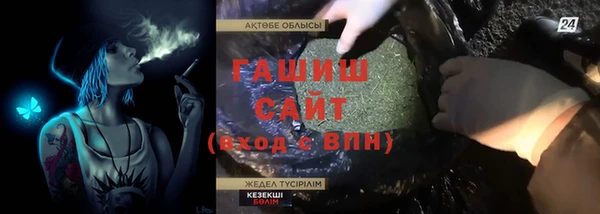 МДПВ Бородино