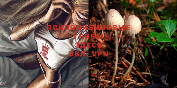 кокаин VHQ Богданович