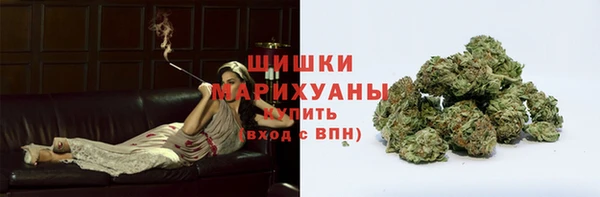 стаф Богородицк