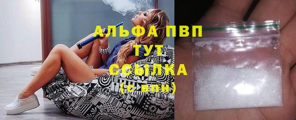 МДПВ Бородино