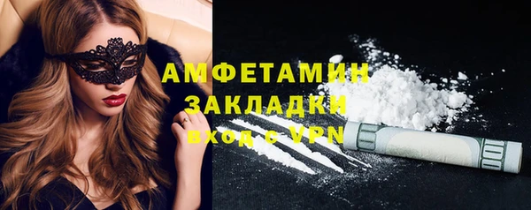 МДПВ Бородино