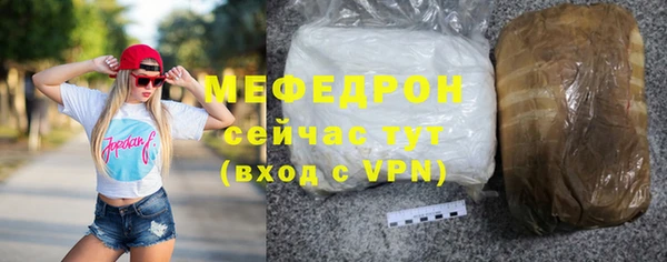 МДПВ Бородино
